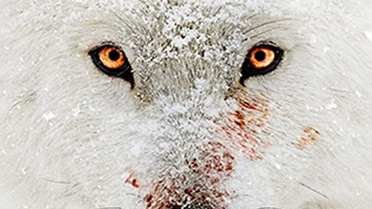 مشاهدة مسلسل Hostile Planet موسم 1 حلقة 1