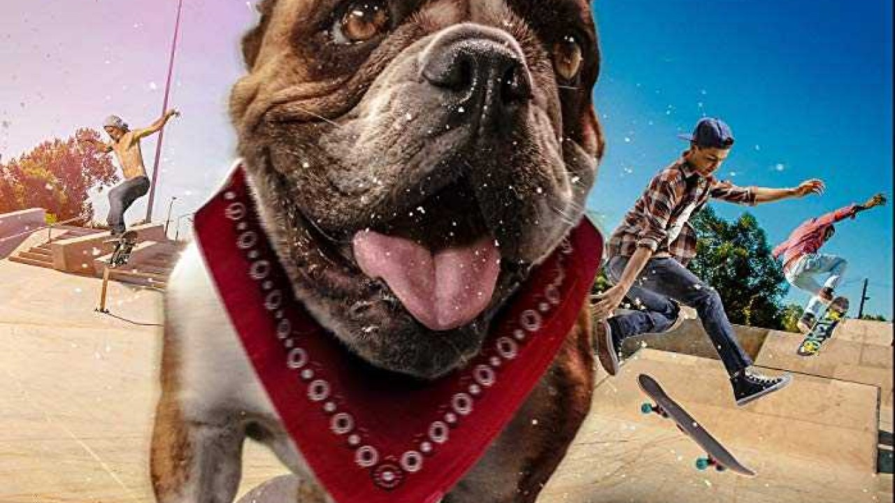 مشاهدة فيلم Sk8 Dawg 2018 مترجم