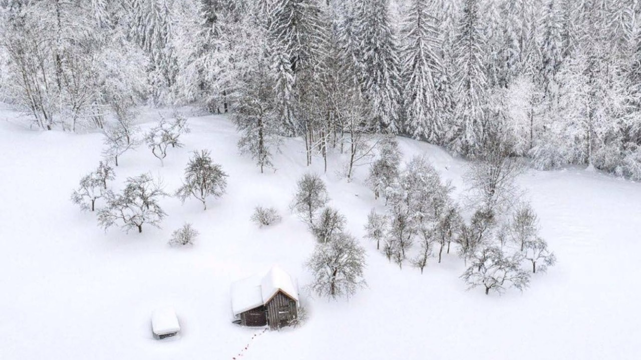 Arctic Circle