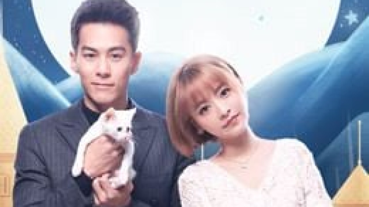 مشاهدة مسلسل Falling in Love With Cats حلقة 23 مترجمة