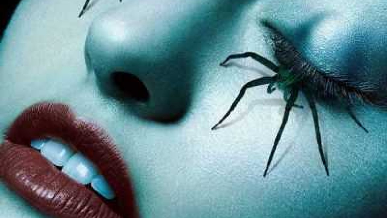 مشاهدة مسلسل American Horror Story موسم 6 حلقة 6