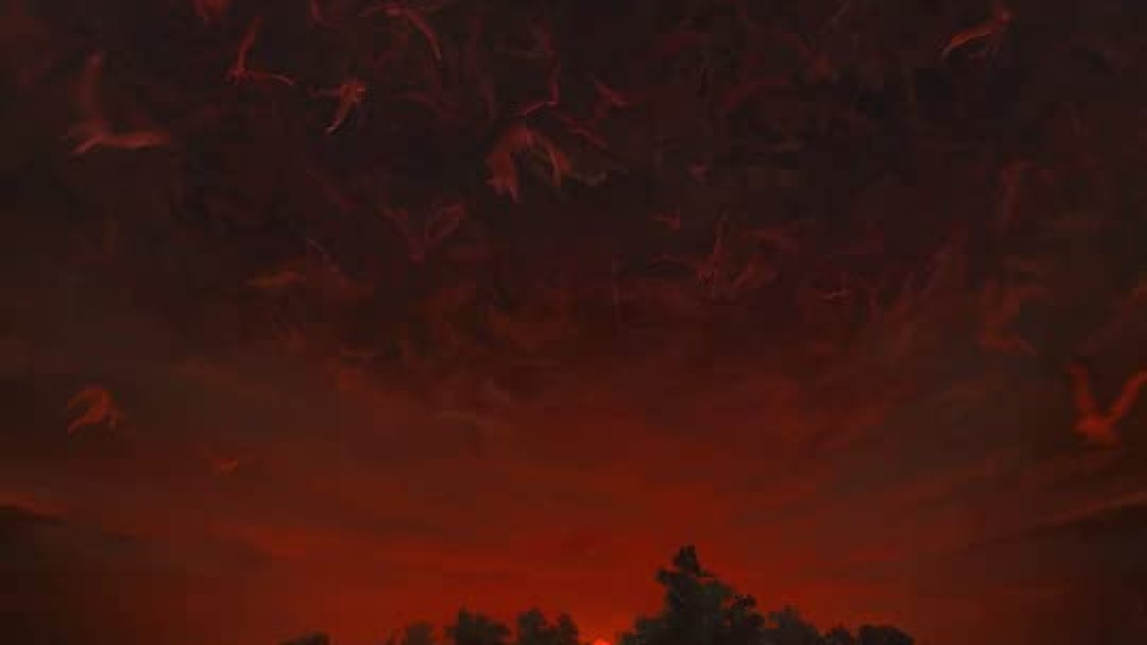 مشاهدة فيلم Hell is Empty 2021 مترجم