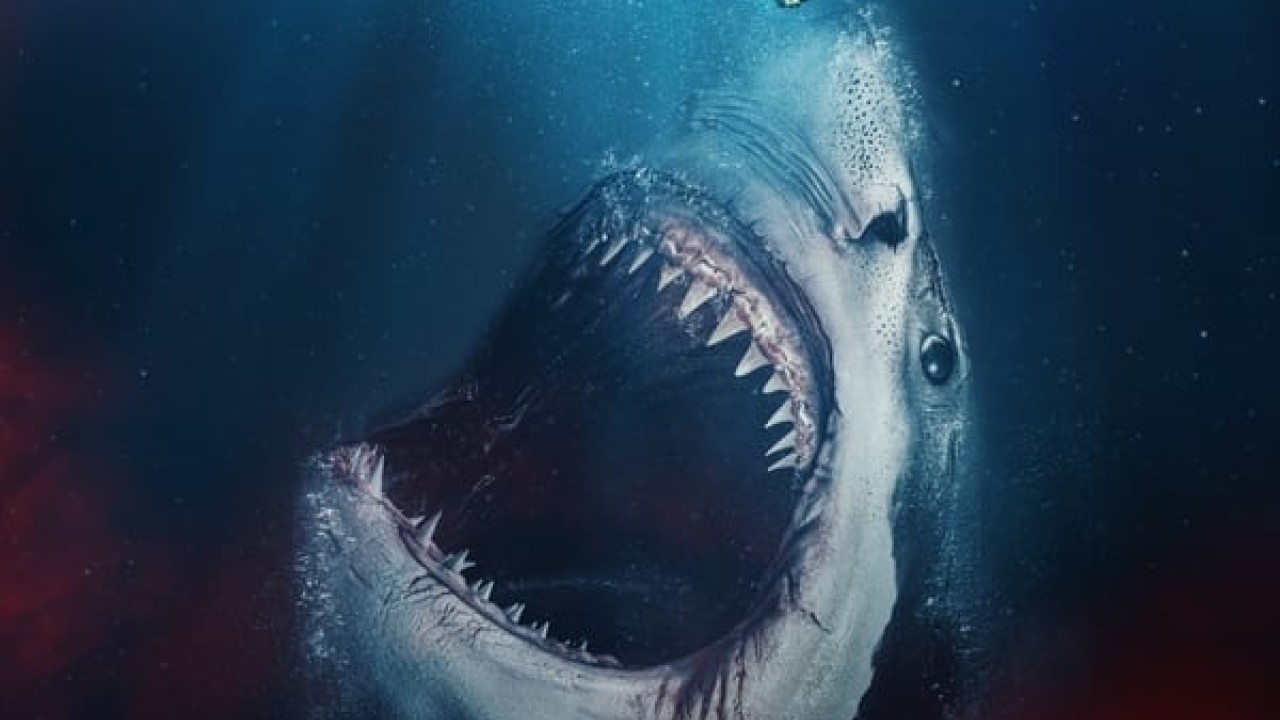 مشاهدة فيلم The Requin 2022 مترجم