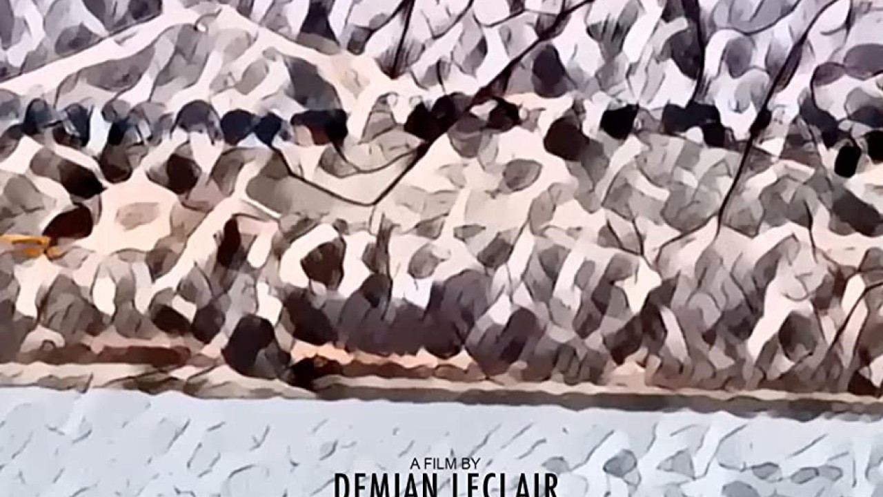 مشاهدة فيلم The Decline 2020 مترجم