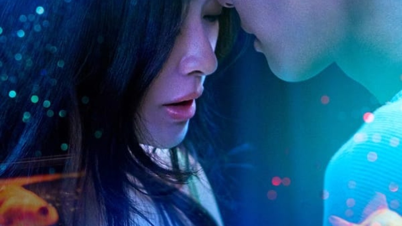 مشاهدة مسلسل Fishbowl Wives موسم 1 حلقة 8 والاخيرة