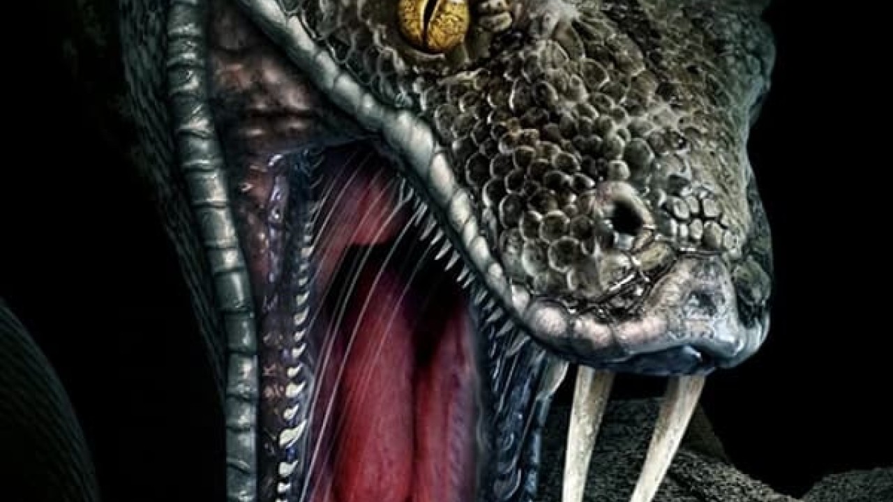 مشاهدة فيلم Megaboa 2021 مترجم