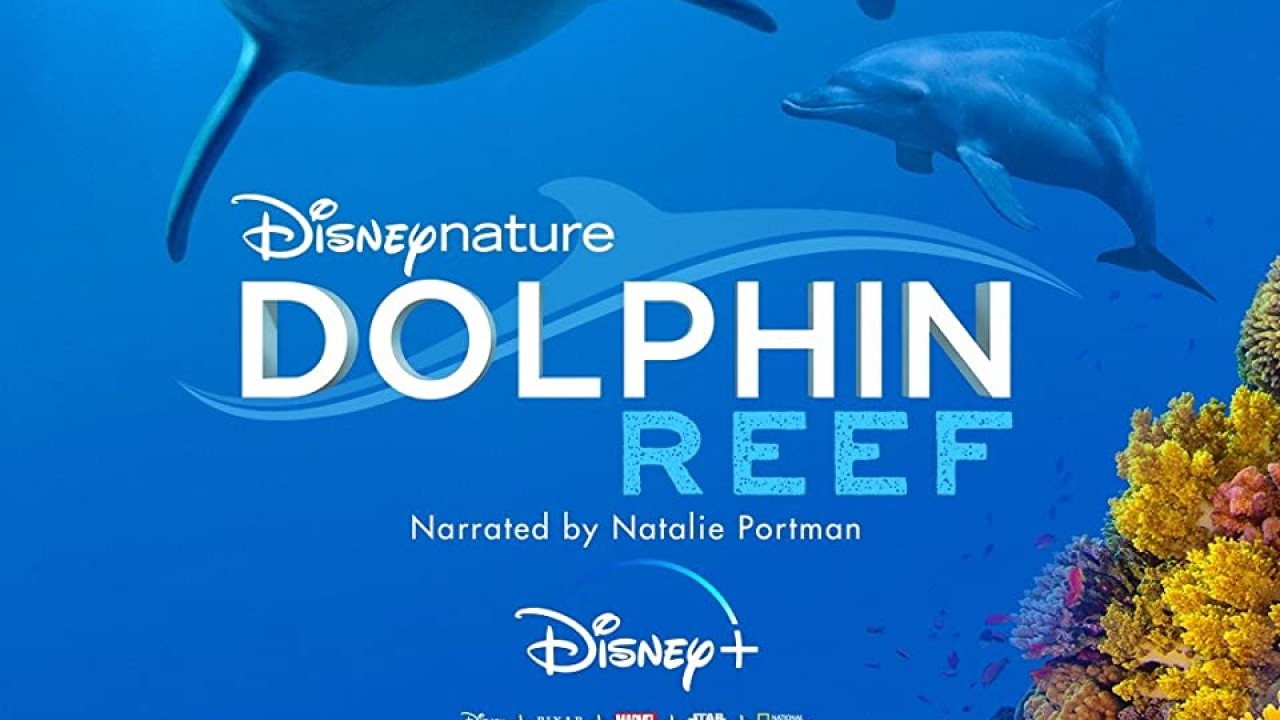 مشاهدة فيلم Dolphin Reef 2020 مترجم