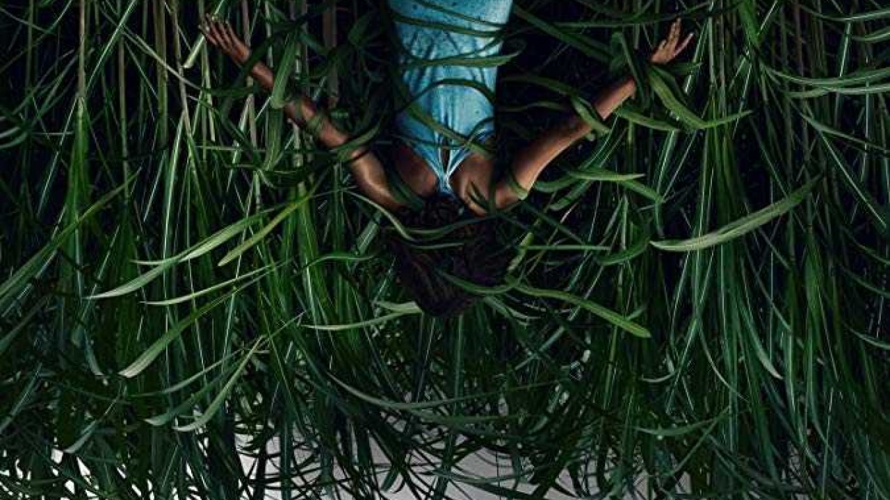 مشاهدة فيلم In the Tall Grass 2019 مترجم