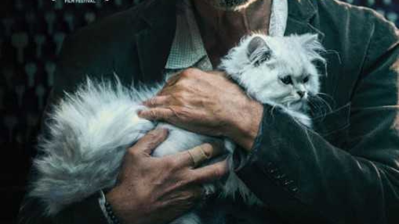 فيلم Manglehorn 2014 مترجم