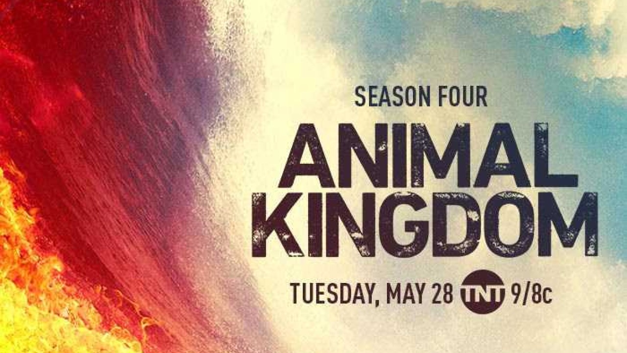 Animal Kingdom