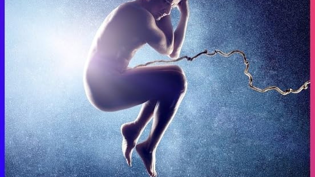 مشاهدة مسلسل Powrót موسم 1 حلقة 6 والاخيرة